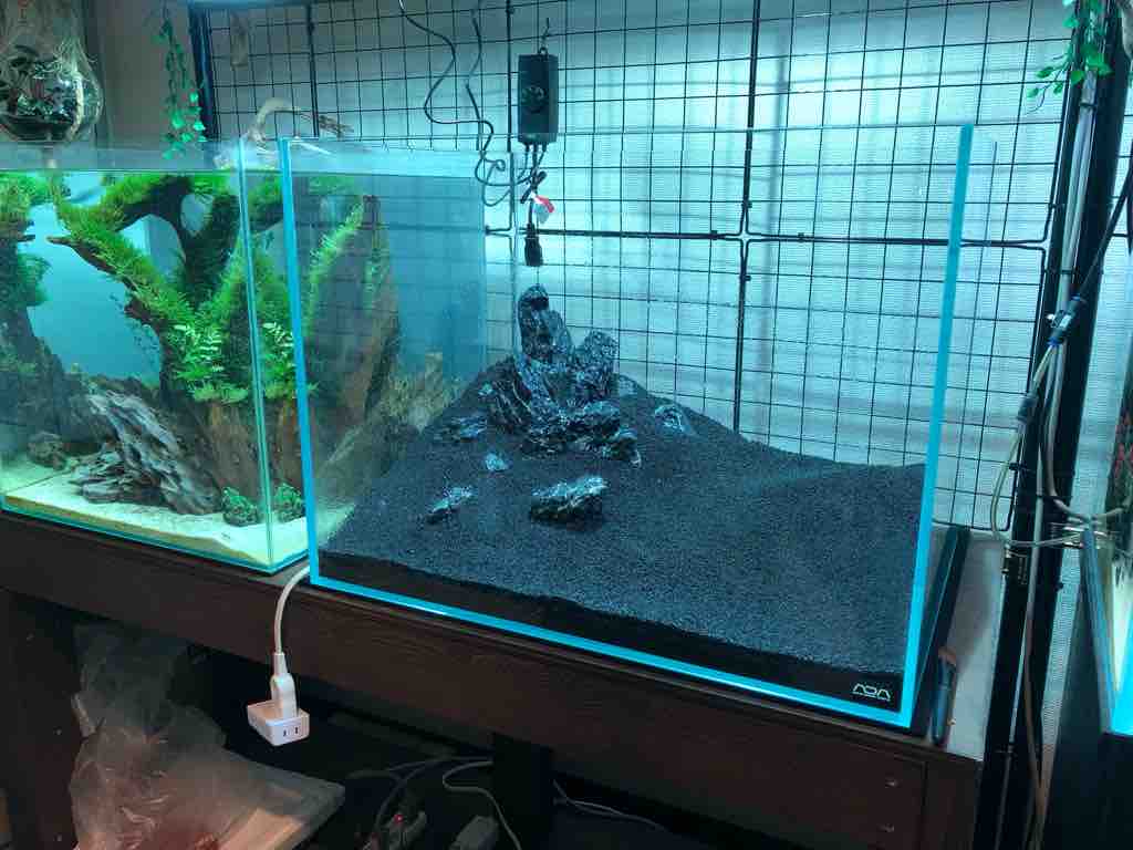 Ada 今度の60 水槽は草原レイアウトで 立ち上げ編 40代の時間の使い方 Blog