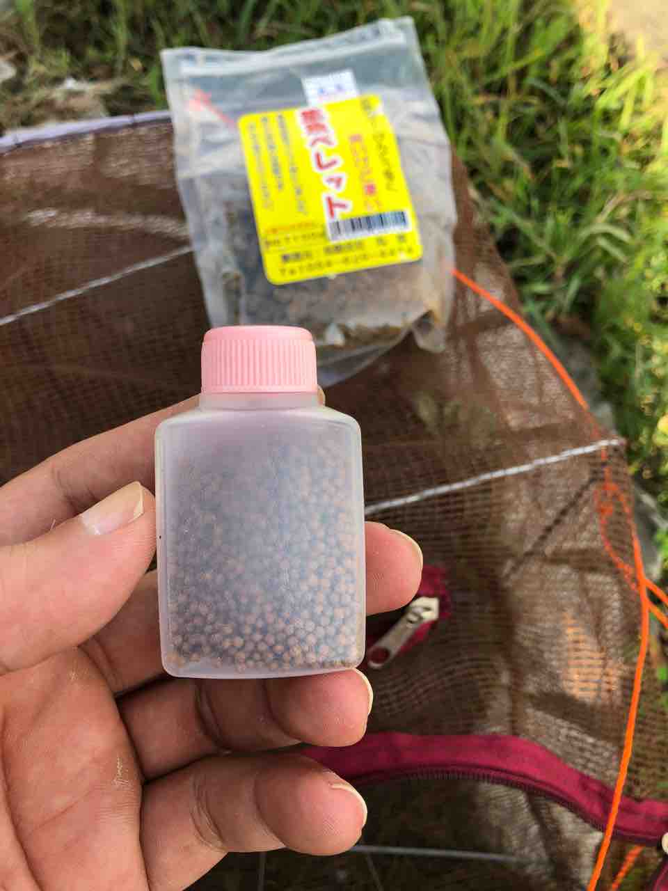 お魚キラーで何が捕れる 水元公園 40代の時間の使い方 Blog