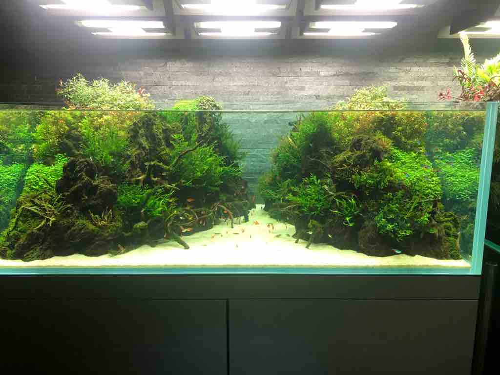 Adaの創設者 天野尚さんが手掛けた水族館へ 40代の時間の使い方 Blog