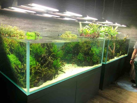 ADA ガラス水槽 アクアデザインアマノ　天野尚 ADAの創設者 天野尚さんが手掛けた水族館へ : 50代の時間の