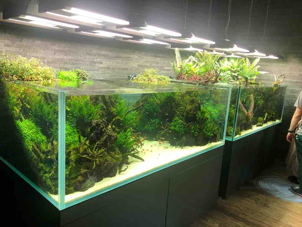 ADAの創設者 天野尚さんが手掛けた水族館へ : 50代の時間の使い方 blog