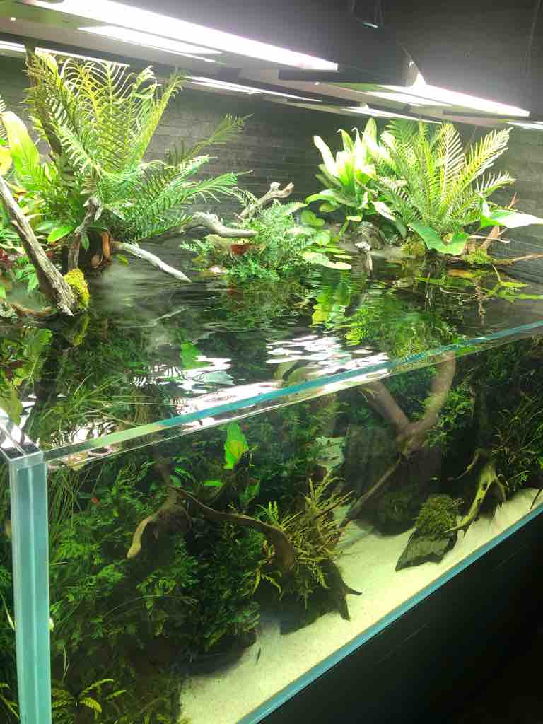 ADAの創設者 天野尚さんが手掛けた水族館へ : 50代の時間の