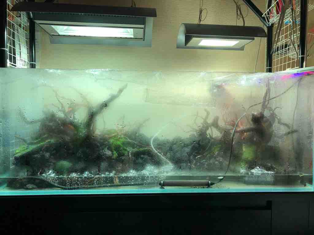 １２０ 水槽立ち上げ中 レイアウトが定まらない 40代の時間の使い方 Blog