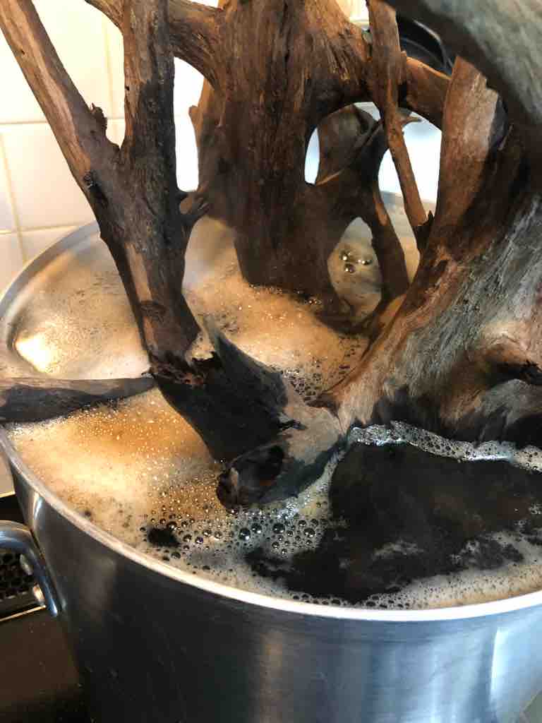 アクアリウム 流木が水に沈まない件 40代の時間の使い方 Blog