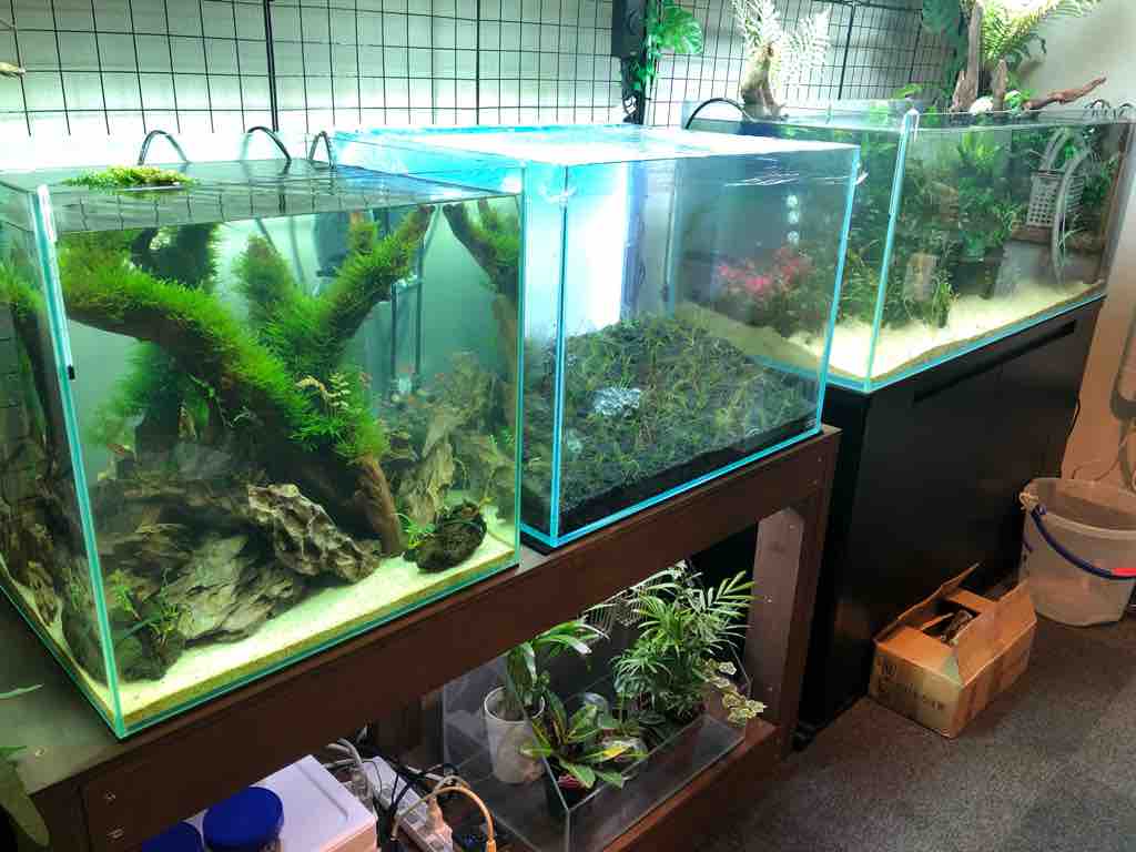 60 水槽のライトスクリーンを自作してみた 40代の時間の使い方 Blog