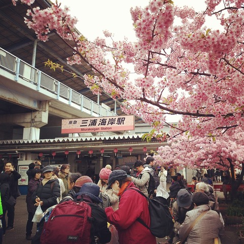 3月14日 日本代表練習会レポート！
