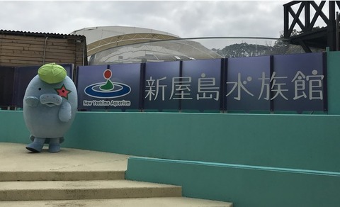 JFBA公認クラブの『瀬戸内フレスコボールクラブ』公認の親善大使に、新屋島水族館(香川県高松市)の公認キャラ「マナやん」が就任!