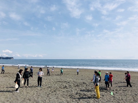 S__31694979