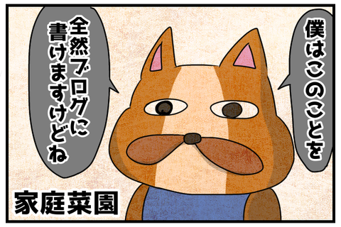 僕はこのことを全然ブログに書けますけどね、と言う狐。