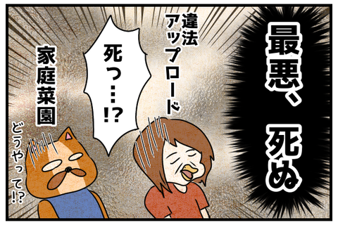「死ぬの!?」と驚く狐と狼。