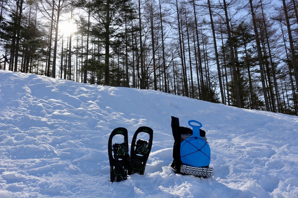 写真 2018-01-20 10 15 51