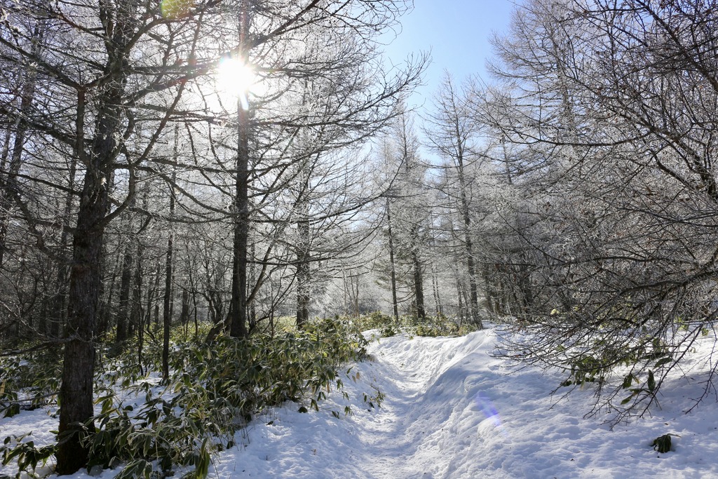 写真 2018-01-20 11 07 48