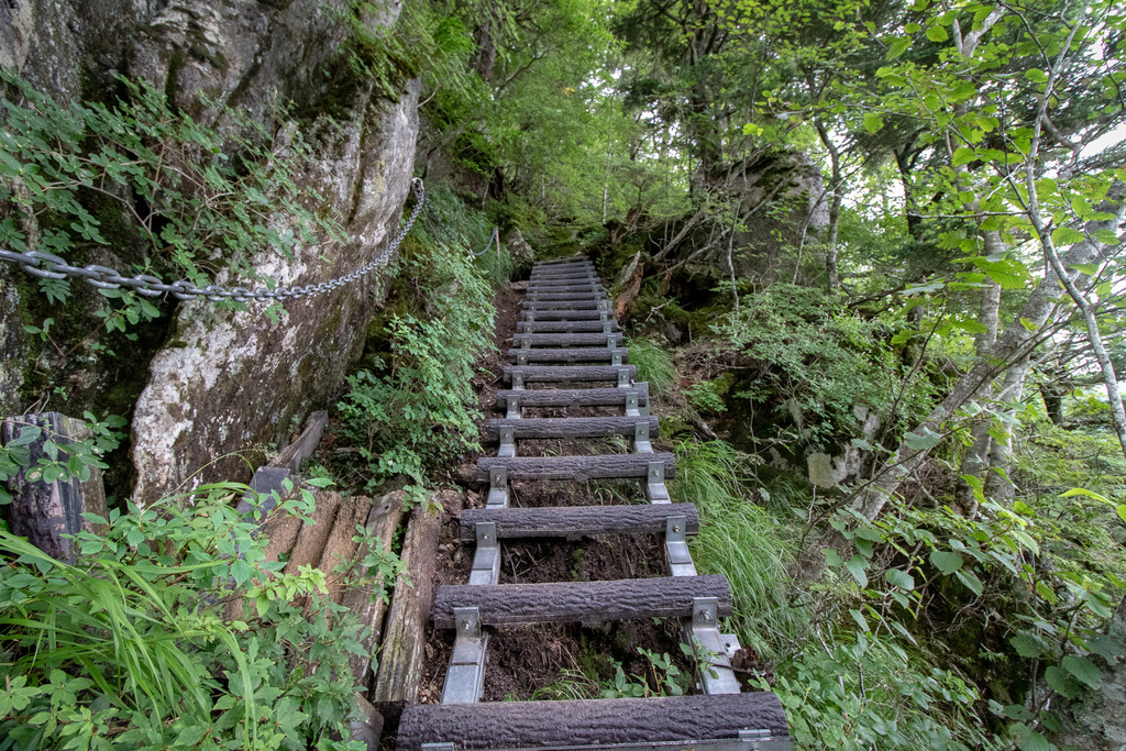 IMG_3503