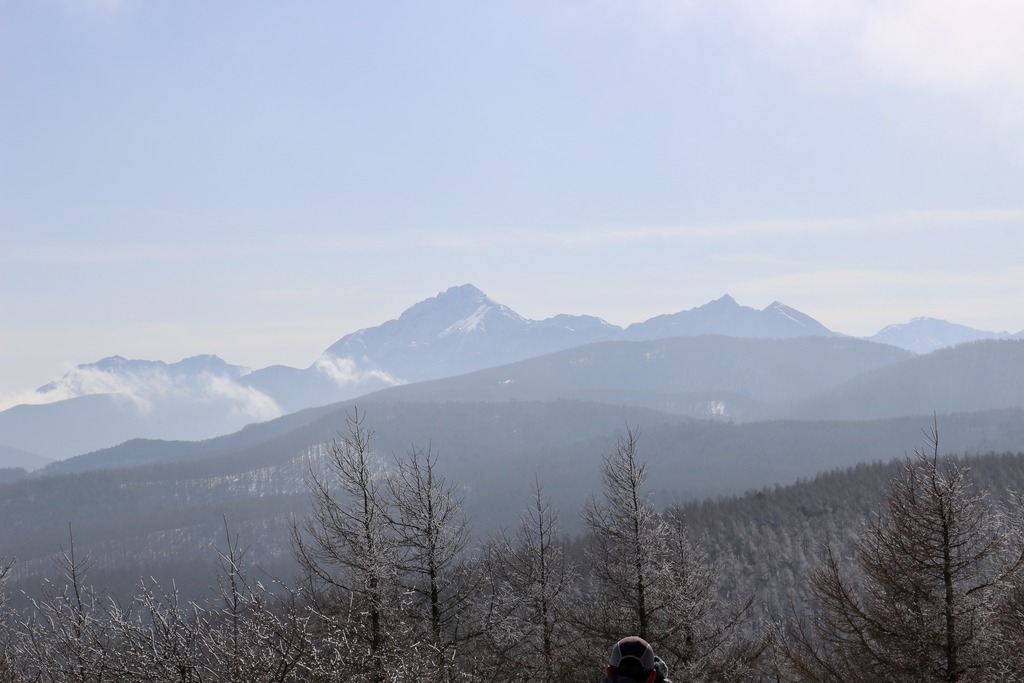 写真 2018-01-20 11 26 22