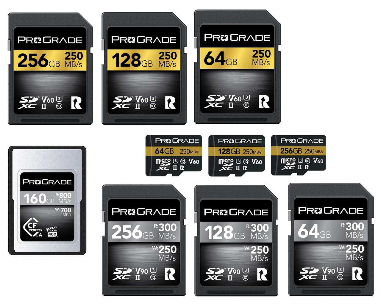 2021人気No.1の ProGrade Digital プログレードデジタル GOLD 250R