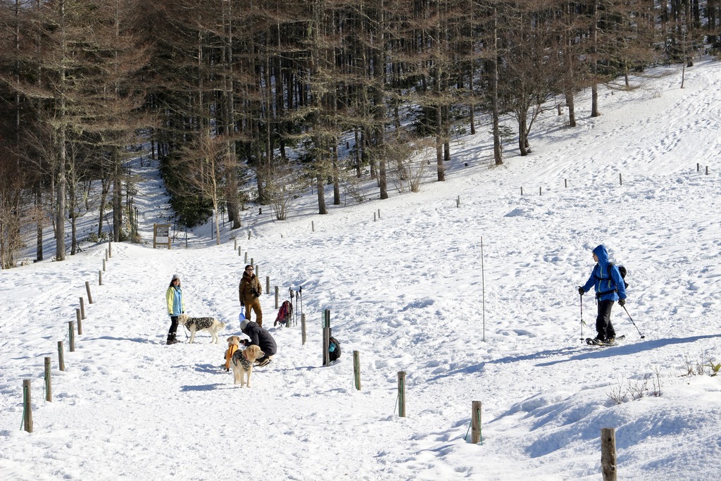 写真 2018-01-20 12 53 04