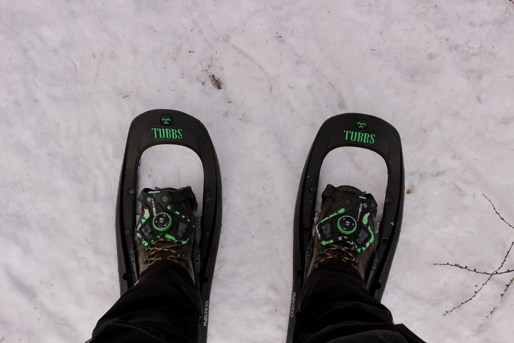 写真 2018-01-20 9 40 16