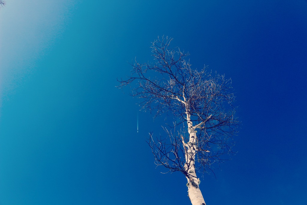 写真 2018-01-20 10 21 48