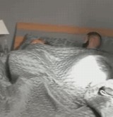 ư�衧�ɥå��� -��������ޥͥ���δ餬- [���⤷��]