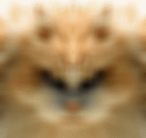 0cb75a84.gif