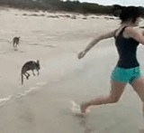 ư衧ʥ󥬥롼ȵ [ۤΤܤ]