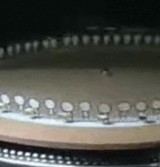 ư�衧�쥳���ɤ���Ѥ��ƥ�������ư����� [���⤷��]