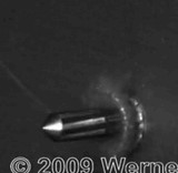 ư�衧�����ѡ��������⡼����� -�ƴ�- [��ư]