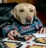 ư�衧�ʹ֤餷���� [���⤷��]