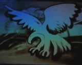 2389d7da.JPG
