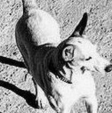 2a09316d.jpg