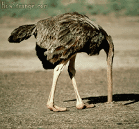 2cbeef7a.gif