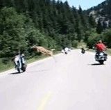 ����ץ���000000