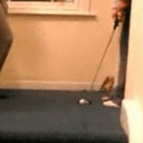 ư�衧�����ѡ�����ե���å� [��ư]