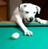 ư衧 -ӥ䡼ɤ򤹤븤- [ư]