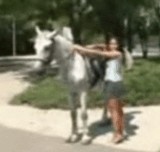 ư�衧�ɥå��� -�Ϥ˾�ꤿ����- [����]