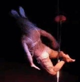 ư�衧�����ʥݡ������ [��ư]