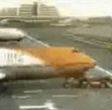 6e694693.jpg