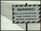 703d18b7.gif