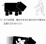 ���������Ф��ݤ��� [���⤷��]