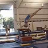 ư�衧�ð�Ū�ʥХͤ���ä�����ꥫ�ͣ����Фξ��� [��ư]