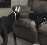 ư�衧�� -�졼�����ˤĤ��븤- [����]