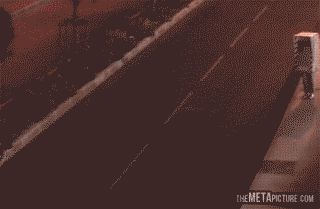 GIF����ư�֤Υ��ԡ��ɼ�����ޤ굡�������� [���⤷��]