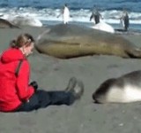 ư衧饷ɤͷֱ [ۤΤܤ]