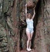 ��������������ξ�˻��äƤ����� [����]