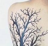 �������ʲ����������� [���⤷��]