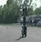 ư�衧�Х��� -�Х����ξ�ǥХå�ž����������- [�׷�]