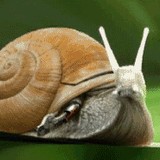 GIF�������Ĥ����ܥå� [���⤷��]