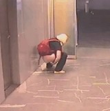 ư�衧�ޥ󥷥��Υۡ����ȥ�������ˤ����� [�׷�]