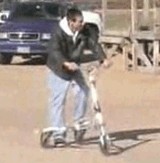 e318b5bf.jpg