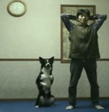 ư衧 -ͤޤȰ˶ڥȥ򤹤븤- [ۤΤܤ]